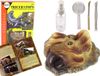 LEAN TOYS Triceratops dinosaurus opgraving educatieve kit - UNI