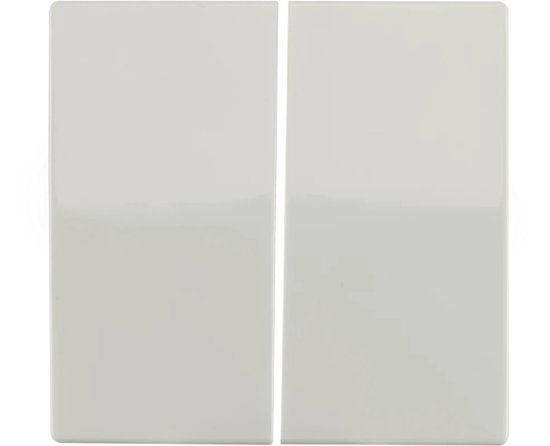 ION Industries Bedieningswip Serieschakelaar - V1/J1 - Alpin Wit Glanzend