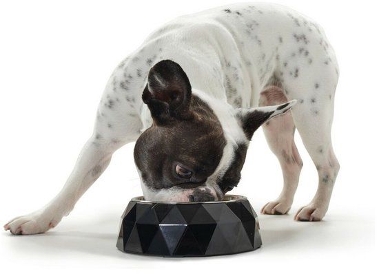 Hunter Kimberley Voerbak voor honden Melamine Roestvrij staal Wit Driehoekig (22,5 x 22,5 x 4,5 cm)