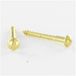 VIS EXPRESS Vis Bois Laiton Tête Ronde Tr Fendue 3x16-1 Pièce