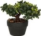 H&S Collection Kunstplant Bonsai boompje in pot - Type Bright - Japans decoratie - 19 x 13 x 15 cm
