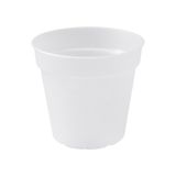 Elho green basics orchid 17cm plantenpot transparant