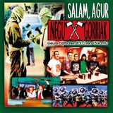 Salam, Negu Gorriak - Salam, Agur (LP)
