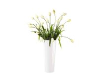 ASA Selection Vaas Mono Wit Keramiek 17 cm Hoogte 45 cm