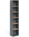 Vicco Viktor Armoire haute – 40,2 x 188,6 cm anthracite/chêne doré