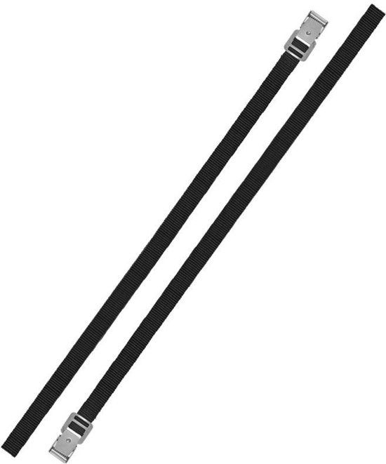 ProPlus Bindriemen met metalen gesp - 18 mm x 200 cm - zwart - set van 2