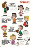 Grupo Erik Poster Snoopy - Characters 61x91,5cm