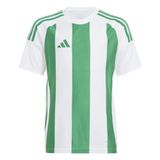 adidas uniseks-kind Striped 24 Jersey Kids Shirt, white/team green, 9-10 Years