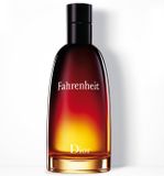 Dior Christian Dior / Fahrenheit / 100 ml / heren