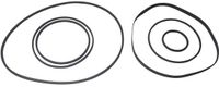 Verschillende Conrad Electronic SE Video-Universal I Assortiment aandrijfriemen