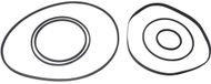 Verschillende Conrad Electronic SE Video-Universal I Assortiment aandrijfriemen
