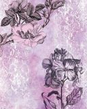 Komar Fotobehang - Baroque Pink 200x250cm - Vliesbehang