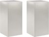 vidaXL Plantenstandaard 2 stuks zilver 30 x 30 x 60 cm Staal