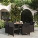 Prolenta Maison Exclusive Tuinset voor buiten, 9-delig, met kussens, van polyrotan, zwart