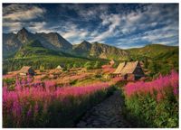 Dino Puzzle Landschap Gasienica Vallei 1000 Stukjes Karton
