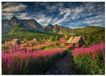 Dino Puzzle Landschap Gasienica Vallei 1000 Stukjes Karton