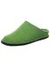 HAFLINGER Muiltjes 'Hausschuh Herren 311010 36 Textil in grün' vert