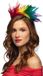 Boland - Diadeem Coco Multi - Volwassenen - Vrouwen - Pride