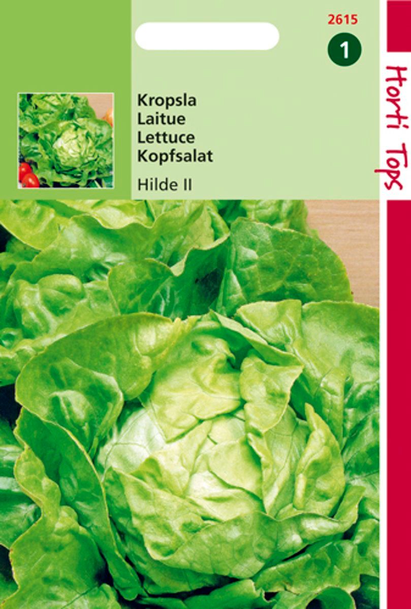Horti tops Zaden - Kropsla Hilde Verb. Attractie - 8711117261506