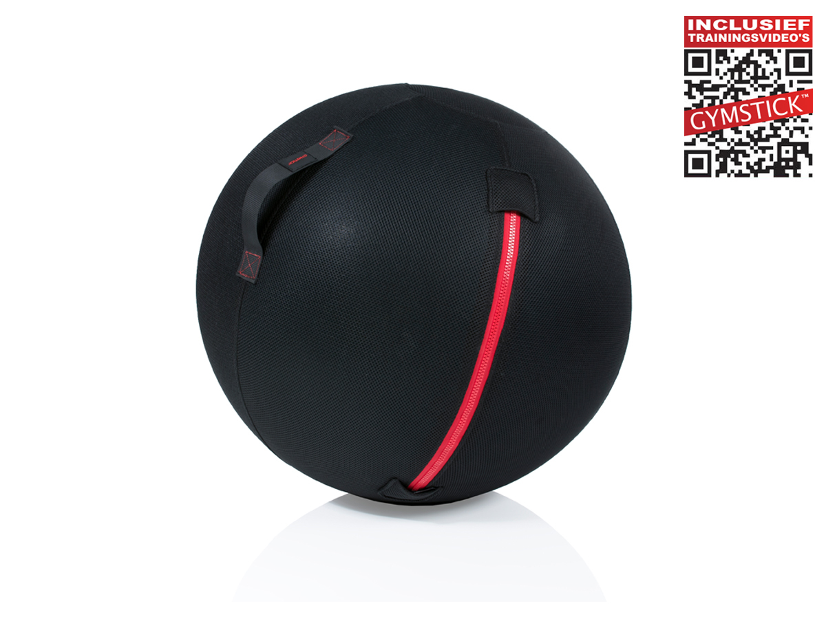 Gymstick Office Ball - 65 cm - Met Online Trainingsvideo s