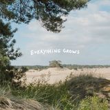 Everything Excelsior Everything Grows LP