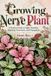 Growing Independently Published Growing Nerve Plant: A Practical Guide to Light, Humidity, Watering, Terrariums, and Propagation Paperback