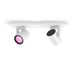 Philips Hue Argenta - Smart Ceiling Light - White - Bluetooth - 2-Spot