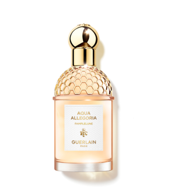 Guerlain Pamplelune