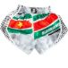 Short Kick-Boxing Booster Fight Gear AD Suriname