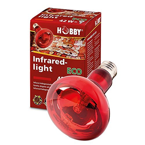 Hobby 37584 Infraredlight Eco, 70 W
