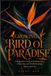 Growing Bird of Paradise: A Responsive Guide to Strelitzia Care, Flowering, and Troubleshooting Indoors and Out