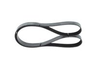 BOSCH Courroie striée 1987947090