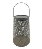 Dehner Olea Solar lantaarn Ø 20 x h 32 cm – led-tuinlamp, warmwit, werkt op zonne-energie, schemeringssensor, metaal en kunststof, groen