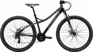 Bikestar 29 inch Hardtail Alu MTB - 21 speed - zwart/grijs