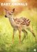 CalendarsRUs Baby Dieren A3 Kalender 2027