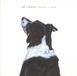 Konkurrent RM Hubbert - Breaks & Bone (CD)