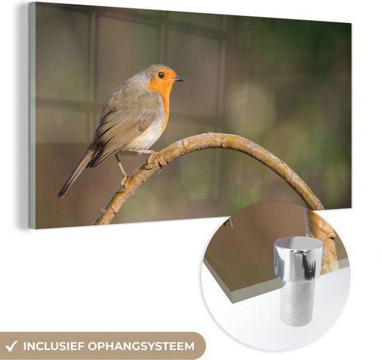 MuchoWow® Glass Painting 40x20 cm - Acrylic Glass Painting - Robin - Bird - Nature - Photo on Glass - Paintings