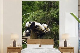 Nr1Wallpaper Behang - Fotobehang Panda - Hout - Trap - Breedte 195 cm x hoogte 300 cm