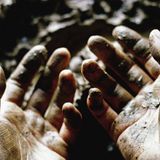What Dis Fig - What To Make Of These Mortal Hands (CD)