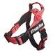 ARQUIVET Xtreme Dog Classic hondenharnas, rood, maat M/58-76 cm