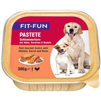 FIT+FUN MultiFit natvoer hond paté met kip en wortelen 36x300 g