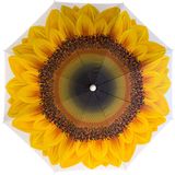 Parasol de plage Gebro Sunflower - D180 cm - Multicolore