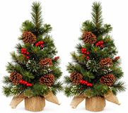 Everlands Kunstboom - 2x - 60 cm - jute voet - dennenappels en besjes - kunst kerstboom