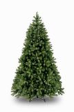 National Tree Company Bayberry Kunstkerstboom - 213 cm - Groen