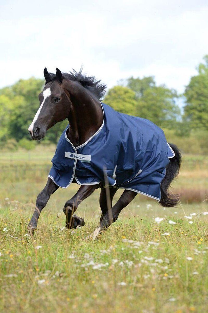 Bucas Freedom Turnout 150 140/191 cm blauw/zilver
