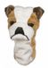 Bagboy Daphne Headcover Driver Bulldog Wit Bruin Zwart Bull Polyester