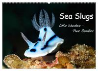 Sea Calvendo Sea Slugs - Little Wonders - Pure Beauties (Wall Calendar 2027 DIN A2 landscape)