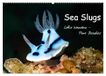Sea Calvendo Sea Slugs - Little Wonders - Pure Beauties (Wall Calendar 2027 DIN A2 landscape)