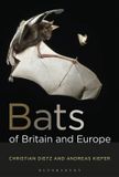 Bats Bloomsbury Natural History Bats of Britain and Europe