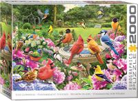 Eurographics Puzzel Vogels 2000 Stukjes - Legpuzzel Natuur
